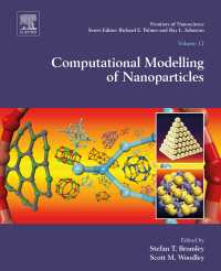 ナノ粒子の計算モデル化<br>Computational Modelling of Nanoparticles