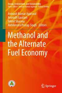 Methanol and the Alternate Fuel Economy〈1st ed. 2019〉