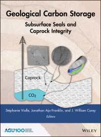 Geological Carbon Storage : Subsurface Seals and Caprock Integrity
