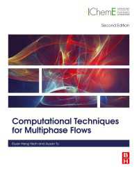 Computational Techniques for Multiphase Flows（2）