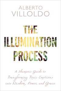The Illumination Process : A Shamanic Guide to Transforming Toxic Emotions into Wisdom, Power, and Grace