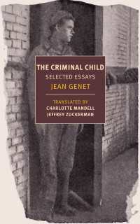 The Criminal Child : Selected Essays