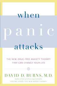 When Panic Attacks : The New, Drug-Free Anxiety Therapy That Can Change Your Life