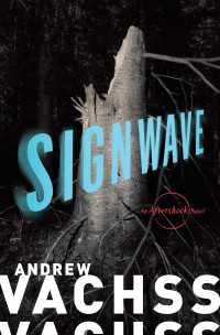 SignWave : An Aftershock Novel