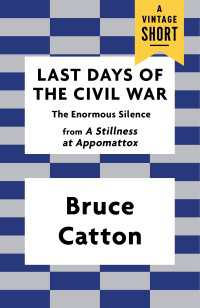 Last Days of the Civil War : The Enormous Silence
