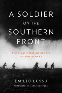 A Soldier on the Southern Front : The Classic Italian Memoir of World War 1