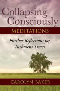 Collapsing Consciously Meditations : Further Reflections for Turbulent Times