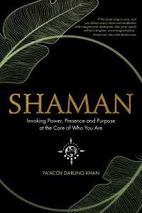 Shaman : Invoking Power, Presence and Purpose at the Core of Who You Are