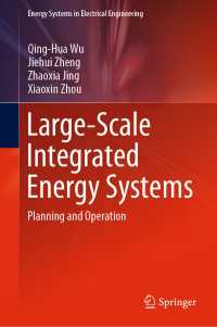 Large-Scale Integrated Energy Systems : Planning and Operation