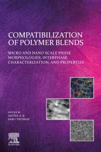 Compatibilization of Polymer Blends : Micro and Nano Scale Phase Morphologies, Interphase Characterization, and Properties