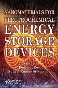電気化学エネルギー貯蔵デバイスのためのナノ材料<br>Nanomaterials for Electrochemical Energy Storage Devices