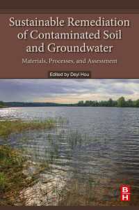 Sustainable Remediation of Contaminated Soil and Groundwater : Materials, Processes, and Assessment