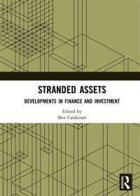 Stranded Assets : Developments in Finance and Investment