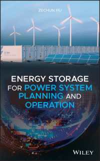 電力系統計画・運用に生かすエネルギー貯蔵<br>Energy Storage for Power System Planning and Operation