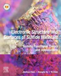 Electronic Structure and Surfaces of Sulfide Minerals : Density Functional Theory and Applications
