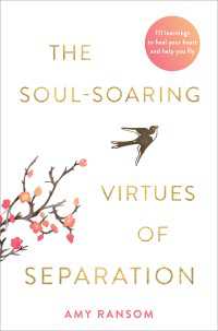 The Soul-Soaring Virtues of Separation : 111 Learnings to Heal Your Heart and Help You Fly