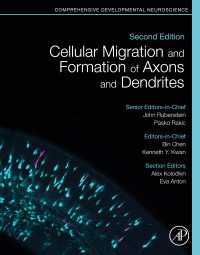 神経細胞移動とニューロン連結（第２版）<br>Cellular Migration and Formation of Axons and Dendrites : Comprehensive Developmental Neuroscience（2）