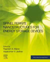 Spinel Ferrite Nanostructures for Energy Storage Devices