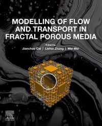 Modelling of Flow and Transport in Fractal Porous Media