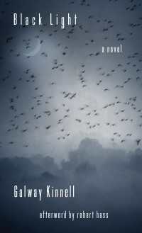 Black Light : A Novel