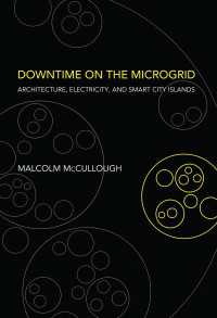Downtime on the Microgrid : Architecture, Electricity, and Smart City Islands