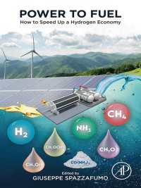 Power to Fuel : How to Speed Up a Hydrogen Economy