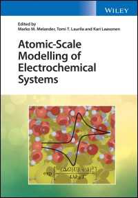 電気化学システムの原子単位モデリング<br>Atomic-Scale Modelling of Electrochemical Systems