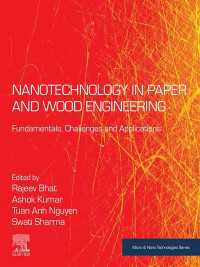 Nanotechnology in Paper and Wood Engineering : Fundamentals, Challenges and Applications