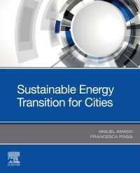 都市の持続可能なエネルギー転換<br>Sustainable Energy Transition for Cities