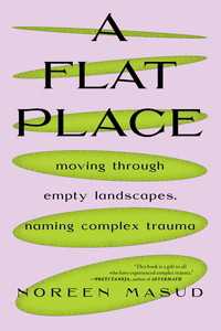 A Flat Place : Moving Through Empty Landscapes, Naming Complex Trauma