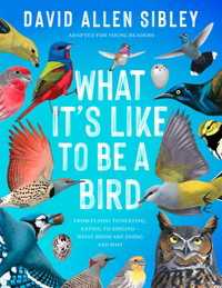 What It's Like to Be a Bird (Adapted for Young Readers) : From Flying to Nesting, Eating to Singing--What Birds Are Doing and Why