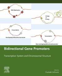 双方向遺伝子プロモーター<br>Bidirectional Gene Promoters : Transcription system and chromosomal structure