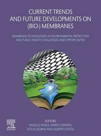 Current Trends and Future Developments on (Bio-) Membranes : Membrane Technologies in Environmental Protection and Public Health: Challenges and Opportunities