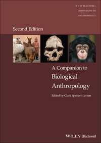 生物人類学必携（第２版）<br>A Companion to Biological Anthropology（2）