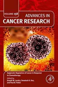 Epigenetic Regulation of Cancer in Response to Chemotherapy