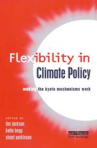 Flexibility in Global Climate Policy : Beyond Joint Implementation