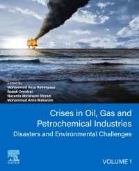 Crises in Oil, Gas and Petrochemical Industries : Disasters and Environmental Challenges