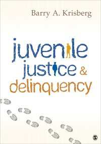 アメリカにおける少年司法と非行<br>Juvenile Justice and Delinquency