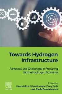 Towards Hydrogen Infrastructure : Advances and Challenges in Preparing for the Hydrogen Economy