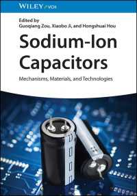 Sodium-Ion Capacitors : Mechanisms, Materials, and Technologies