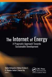 The Internet of Energy : A Pragmatic Approach Towards Sustainable Development