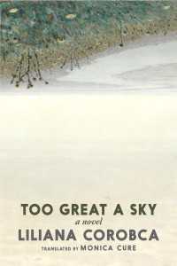 Too Great a Sky : A Novel