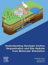 Understanding Geologic Carbon Sequestration and Gas Hydrate from Molecular Simulation
