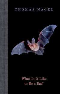 What Is It Like to Be a Bat?