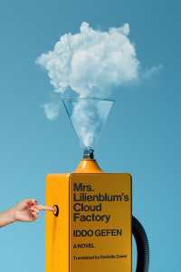 Mrs. Lilienblum's Cloud Factory : A Novel