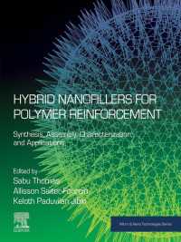 ポリマー補強のための混合ナノフィルター：合成、組み立て、特徴づけ、応用<br>Hybrid Nanofillers for Polymer Reinforcement : Synthesis, Assembly, Characterization, and Applications