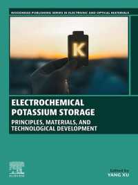 Electrochemical Potassium Storage : Principles, Materials, and Technological Development