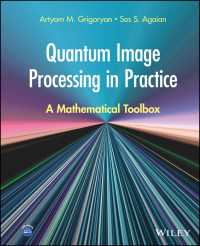 Quantum Image Processing in Practice : A Mathematical Toolbox