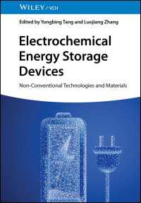 Electrochemical Energy Storage Devices : Non-Conventional Technologies and Materials