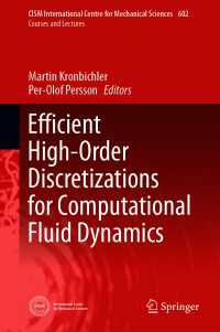 計算流体力学のための効率的高次離散化<br>Efficient High-Order Discretizations for Computational Fluid Dynamics